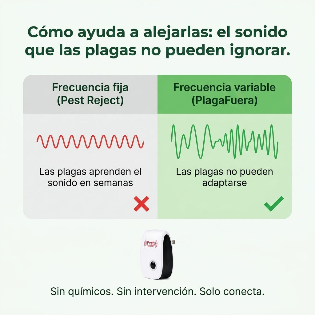 gid://shopify/MediaImage/36457452830914